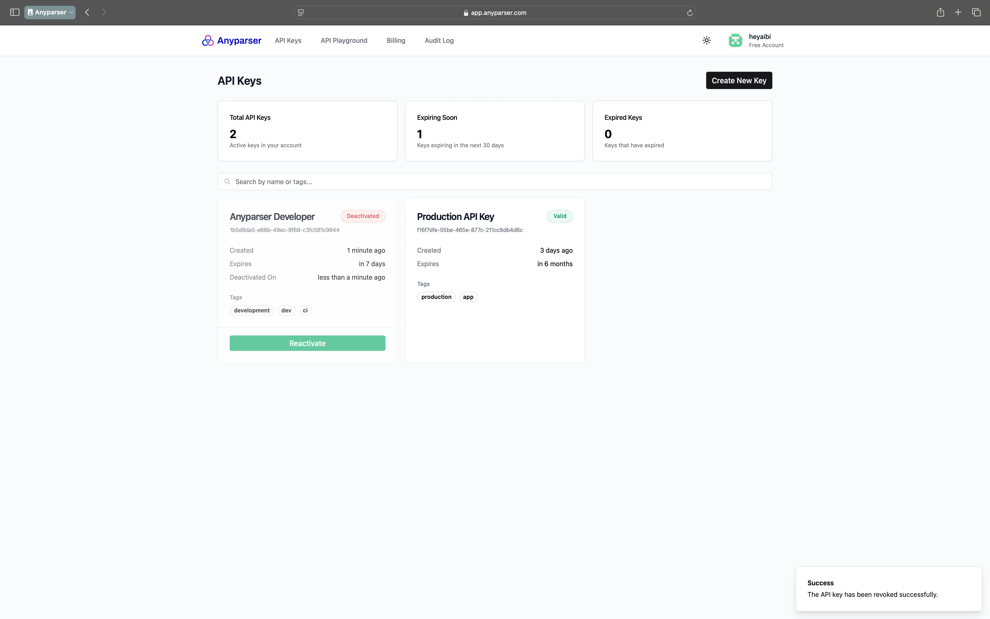 Successful API key creation with key display