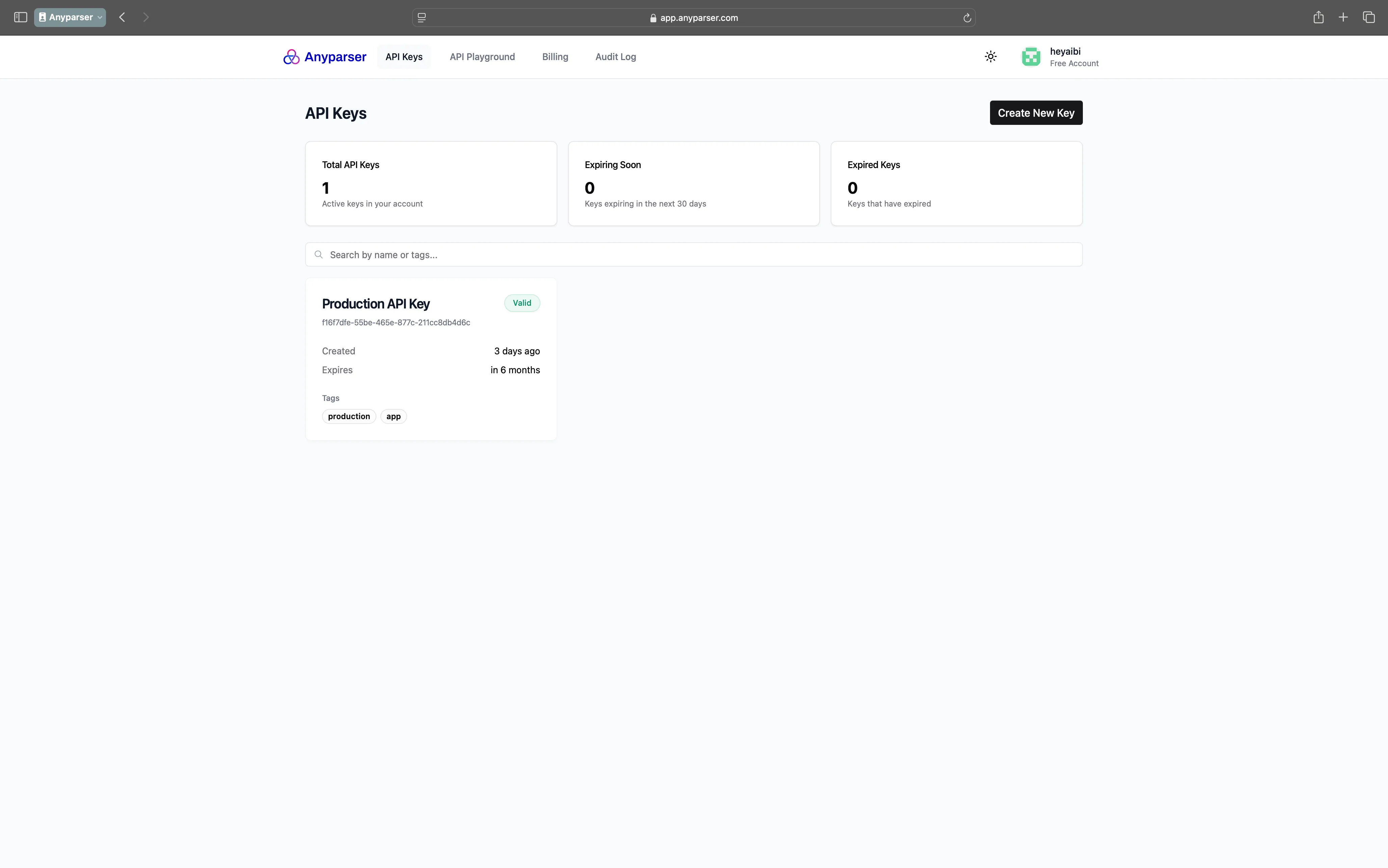 API Keys management page showing active and expiring keys