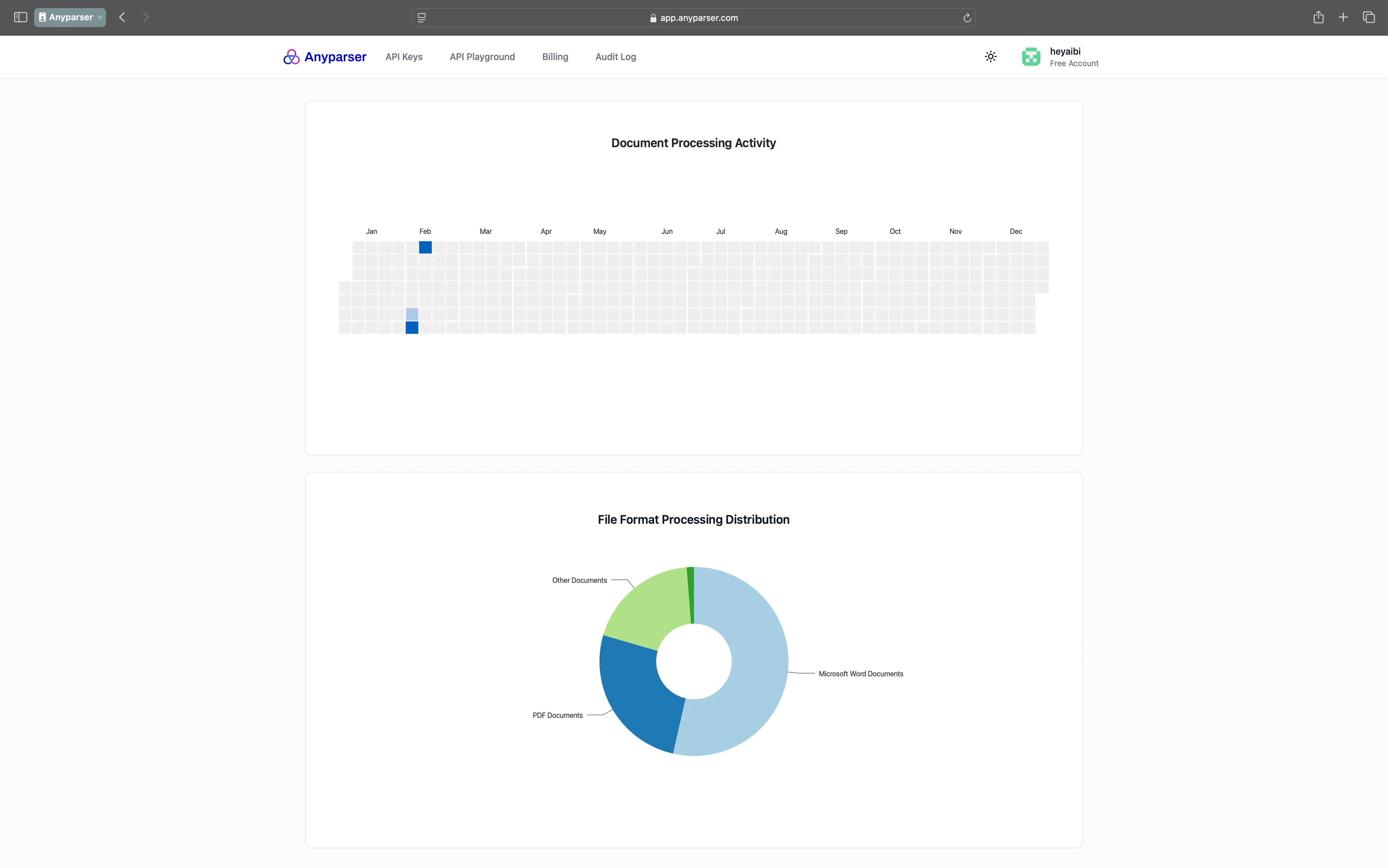 Anyparser Studio Dashboard showing document processing activity and file format distribution