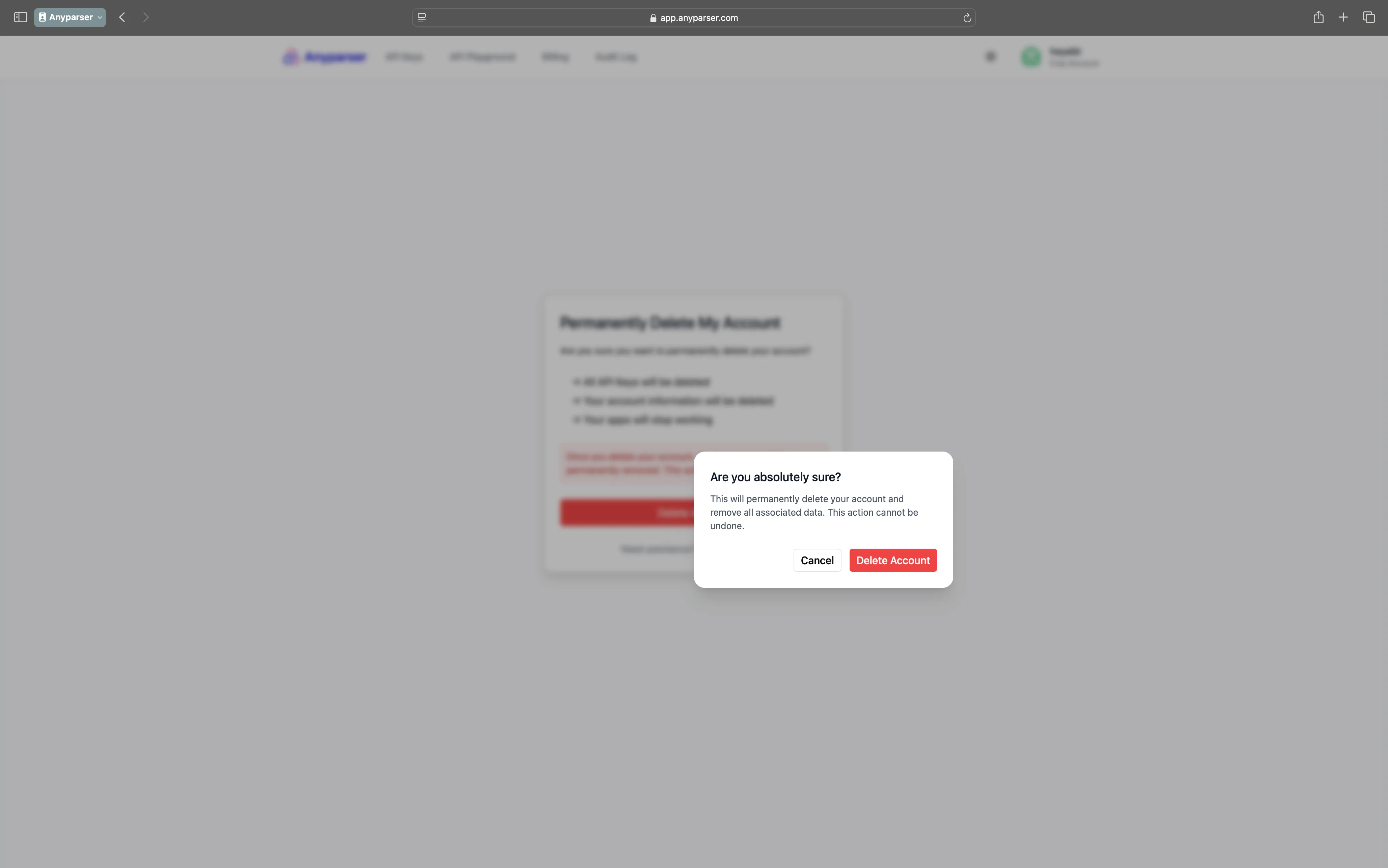 Final deletion confirmation dialog